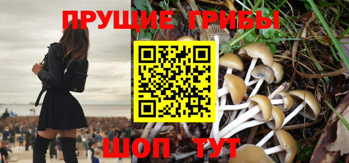 Геленджик  Галлюциногенные грибы мухоморы  Вход с VPN 