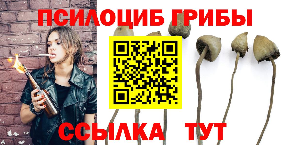 Галлюциногенные грибы прущие грибы  Геленджик  хочу наркоту  Галлюциногенные грибы Magic Shrooms 